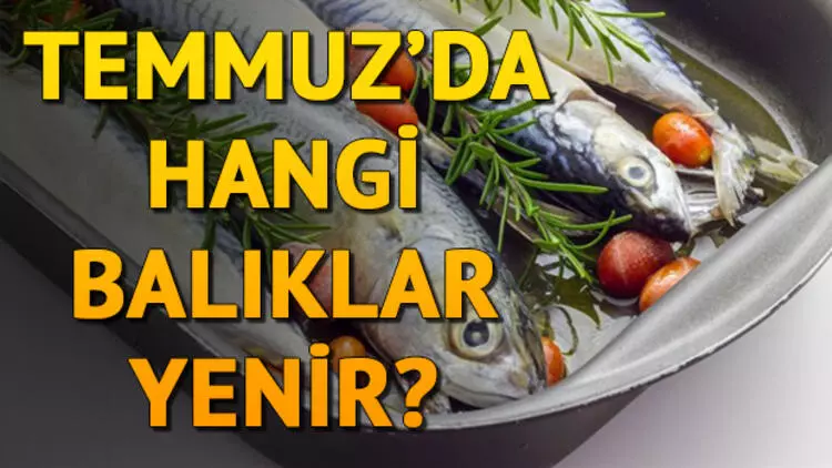 TEMMUZ AYINDA HANGİ BALIK YENİR?