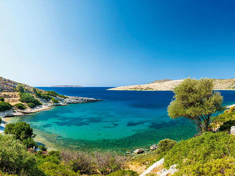 Eşek Adası