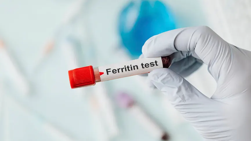 Ferritin Düşüklüğü Belirtileri Nelerdir? 