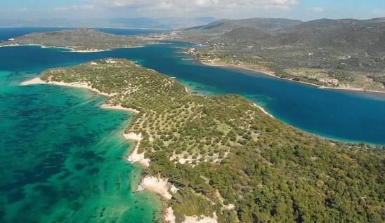 bademli dikili koy
