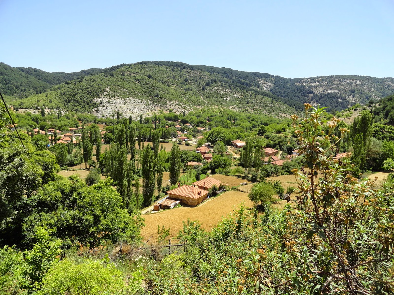 Bozdağ Yaylası