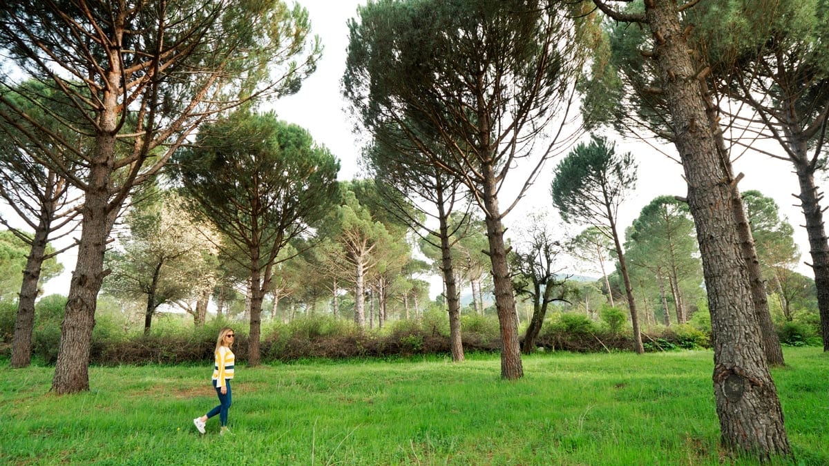 izmir kozak yaylası 