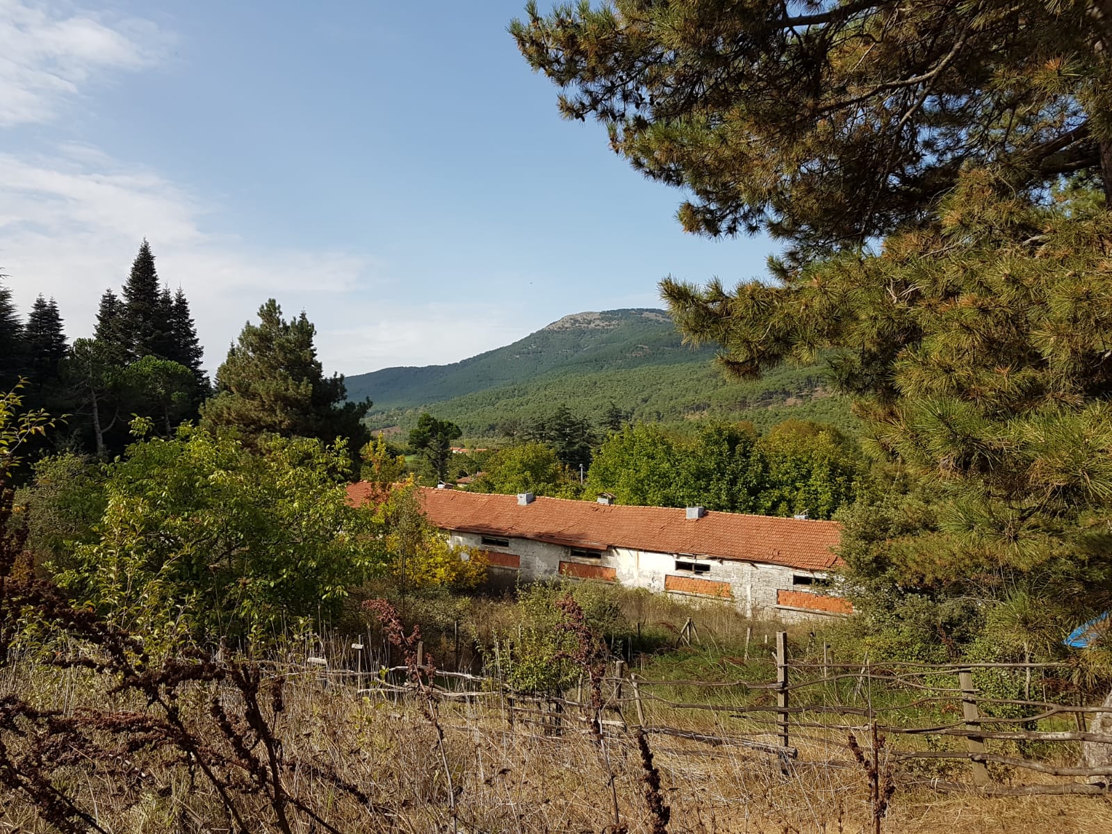 Kemalpaşa Yaylaları 
