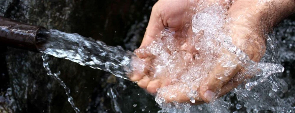 Kuduz hastalığı nedir? Kuduz hangi hayvanlardan bulaşır? Kuduz hastaları sudan neden korkar?4
