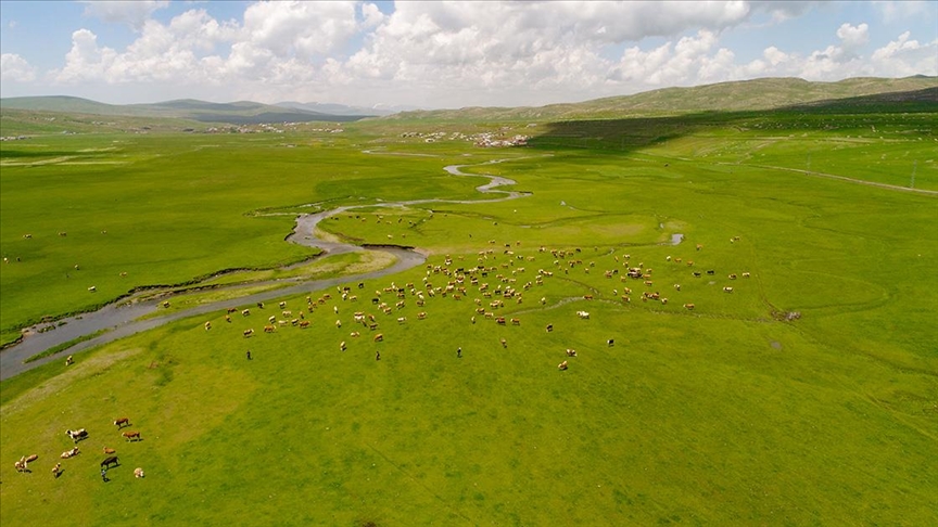 ARDAHAN-3