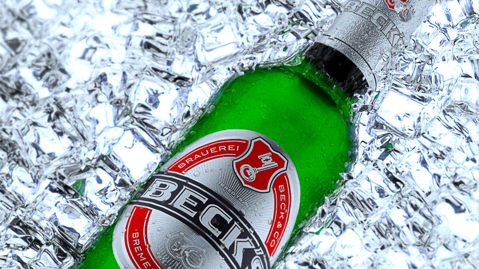 Beck’s Bira Fiyatları 2023