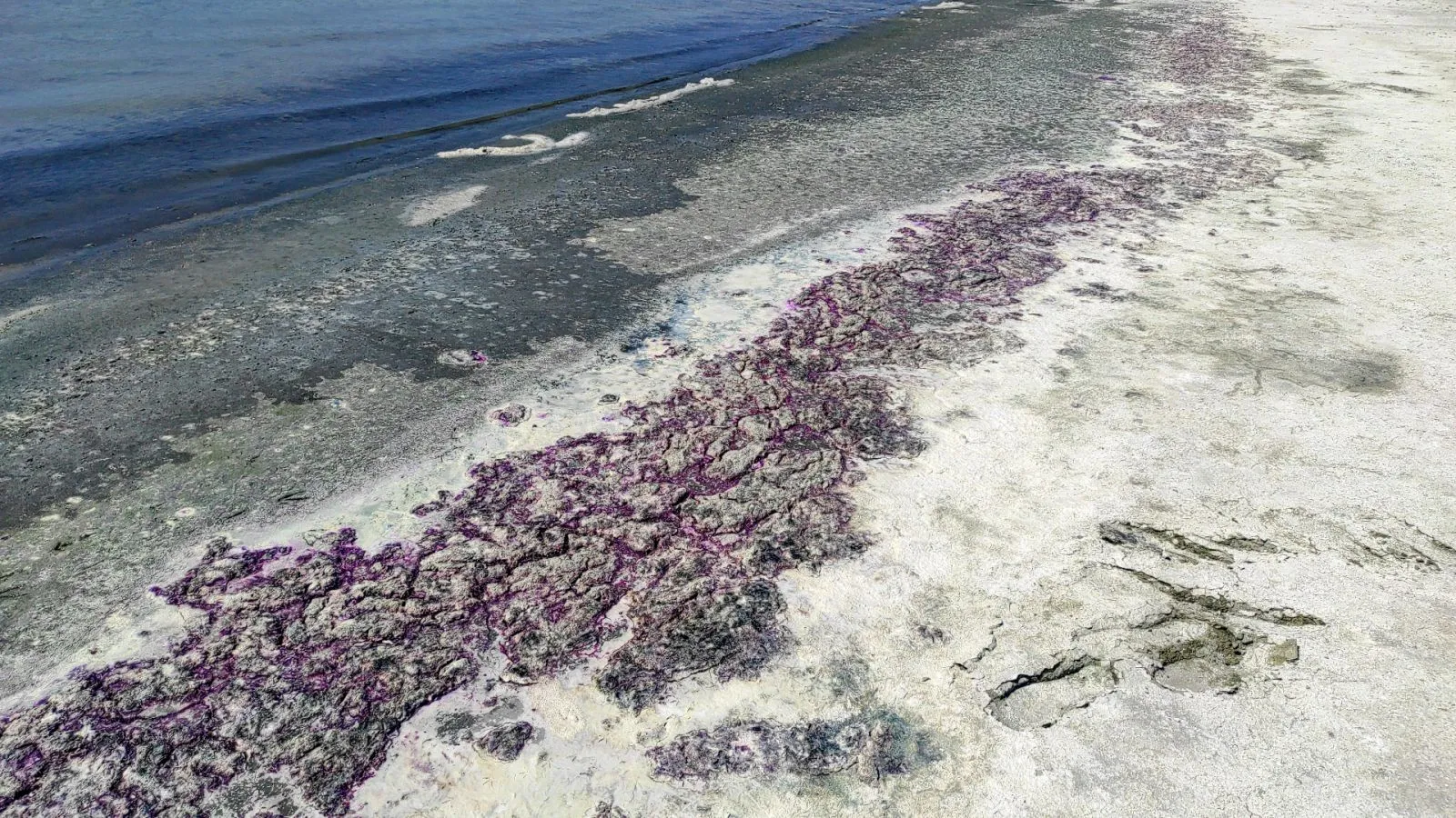 Burdur Gölü neden mor renge büründü? Sülfür bakterisi nedir?-2