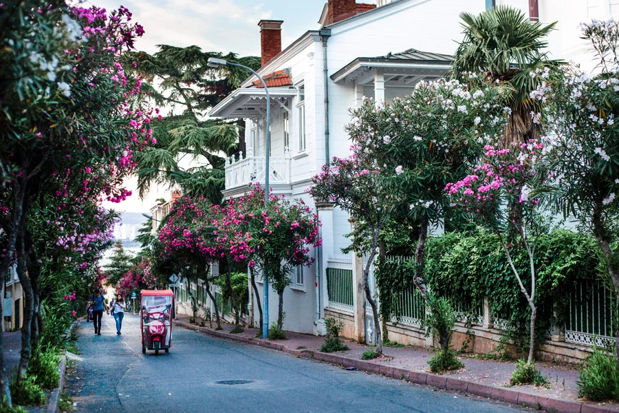 Büyükada Nerede