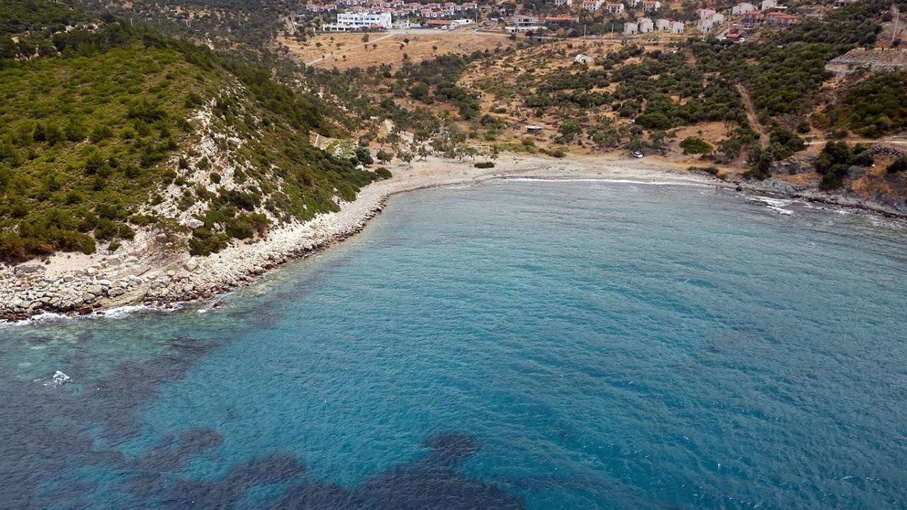 Hayıtlı Koyu-3
