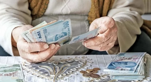 Tamamlayıcı Emeklilik Sistemi Nedir