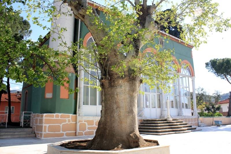Yıldırım Beyazıt Cami