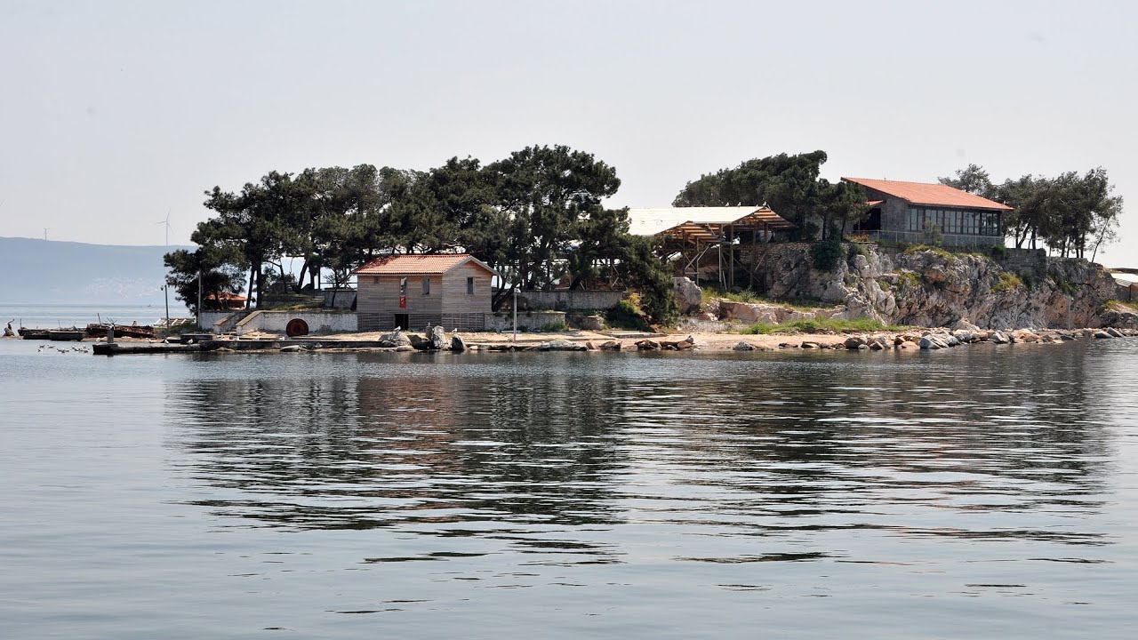 Zeytinli Adası