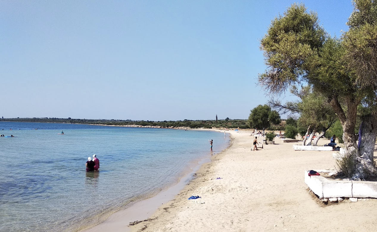 Fevzi çakmak sahili