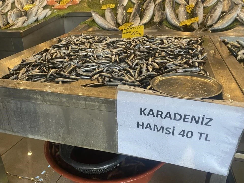 Güncel hamsi fiyat listesi: İl il hamsi fiyatları2