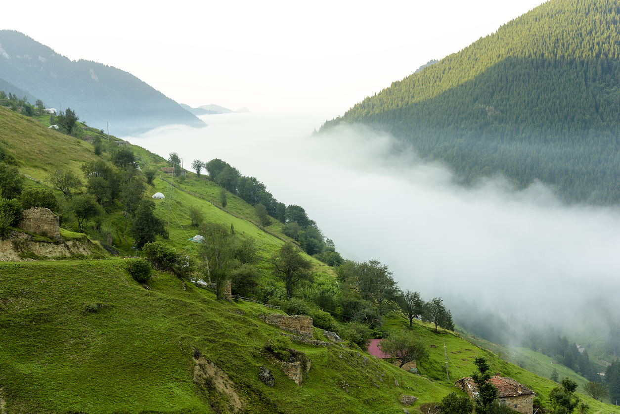 trabzon-yaylalari