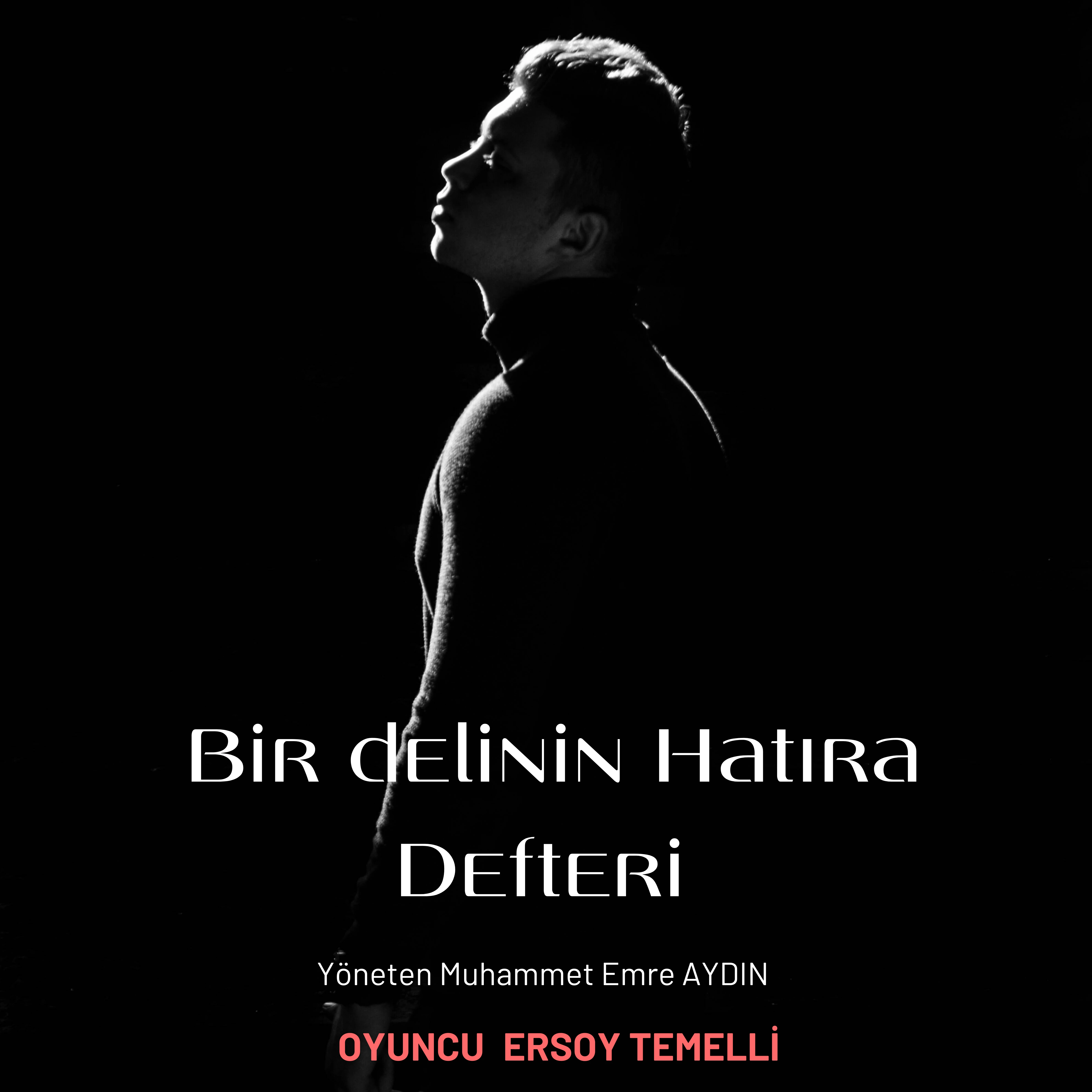 bir-delinin-hatira-defteri-muhammet-emre-aydin-79093