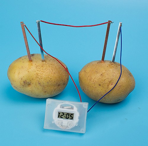 ece-egitim-kendin-yap-deney-setleri-patates-saati-patatesten-pil-yapma-deney-seti-01