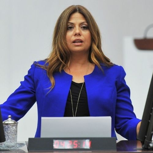 Zeynep Altıok (CHP)