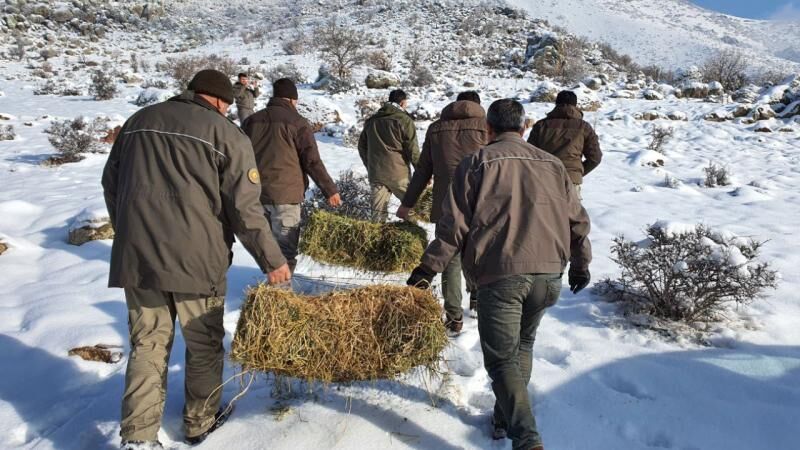 Doga Koruma Ve Milli Parklar Genel Mudurlugu Aa 2188544 1