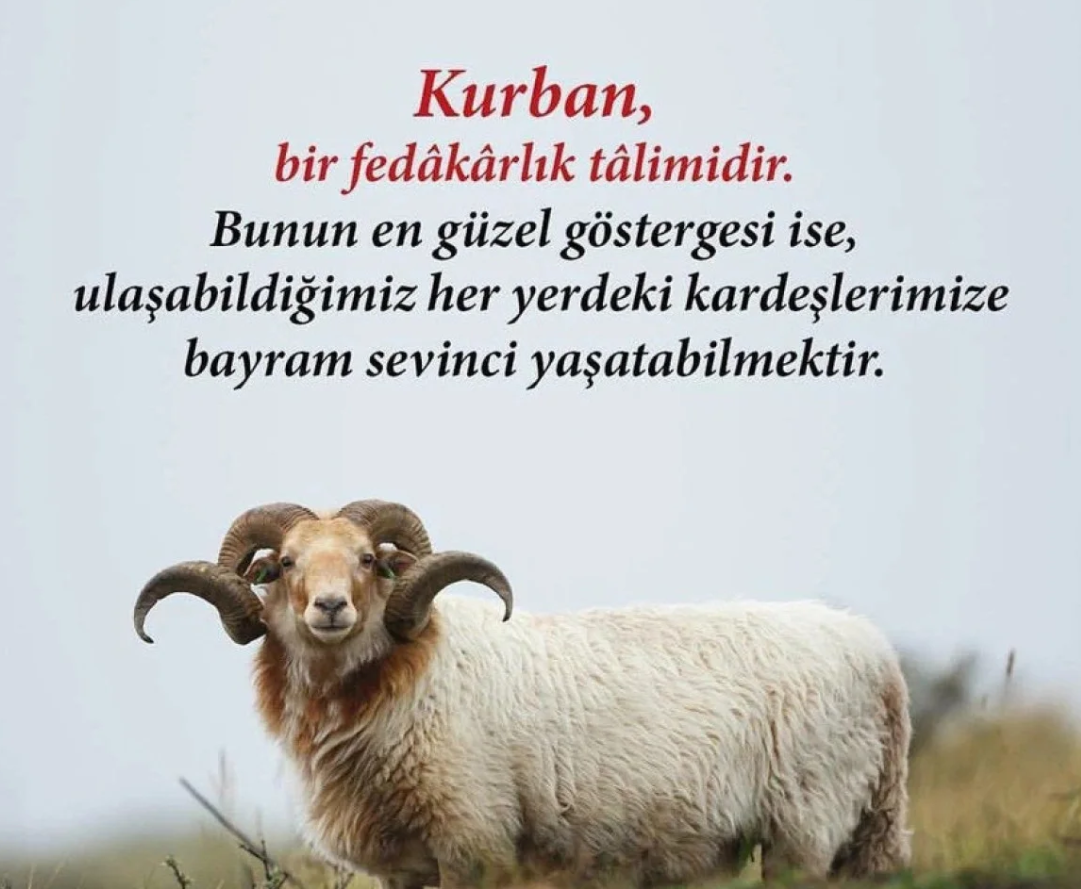 Adsız2-1