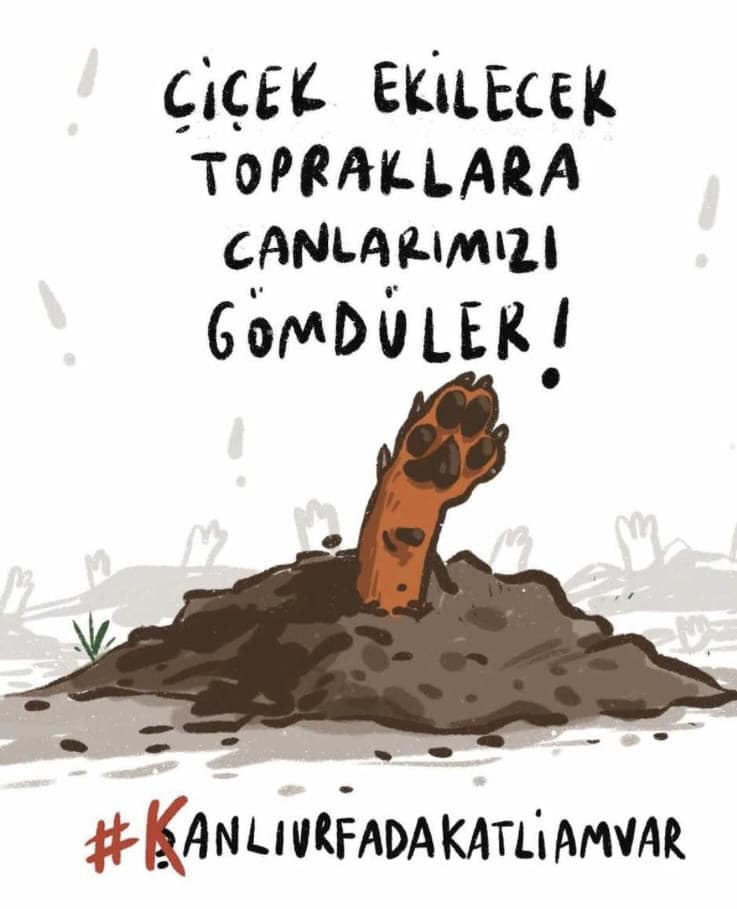 Can Dostlar 14Hazirandunyadanbi̇haber1