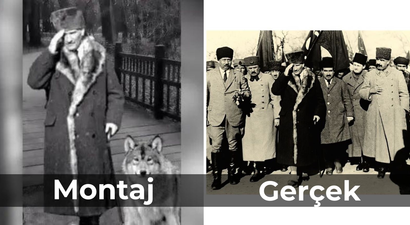 Atatürk'ün Kurtla Poz Verdiği Iddiası Gerçek Mi, Montaj Mı