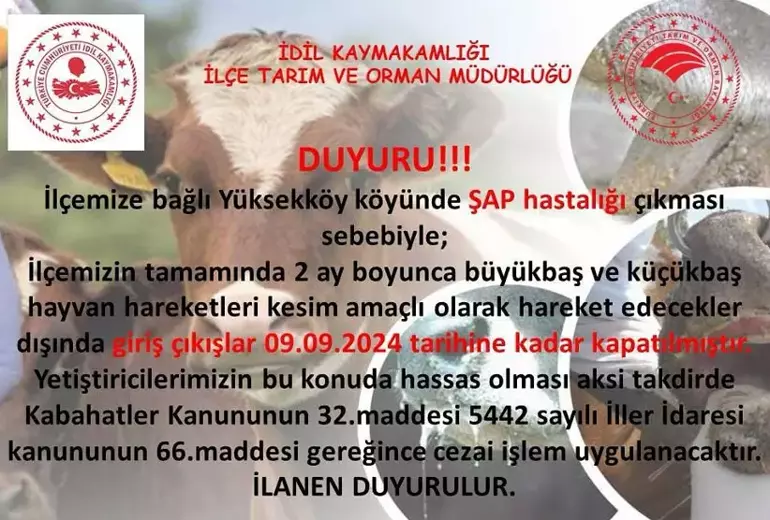 İlçede Şap Alarmı! Hayvan Hareketleri 2 Ay Yasaklandı-1