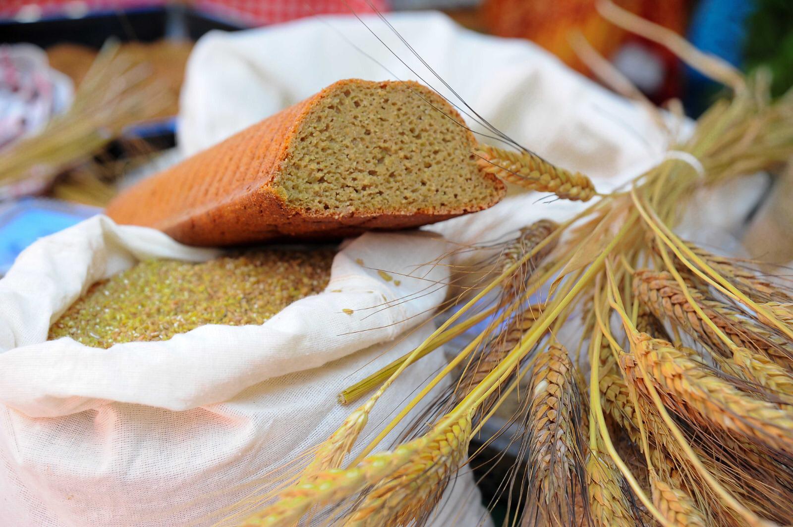 Karakılçık Ekmek Buğday