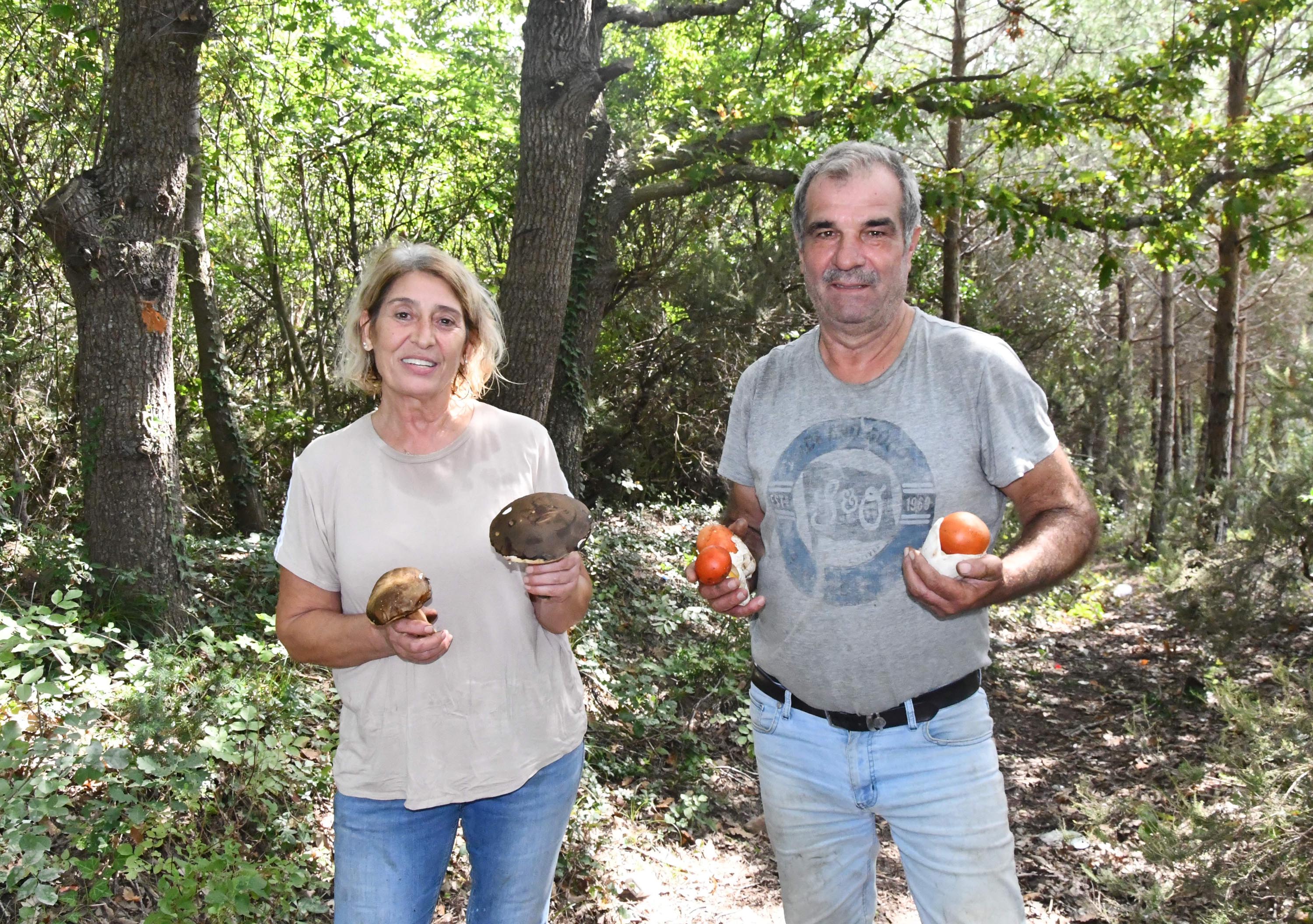 Istranca Ormanları'ndan Avrupa'ya 'Mantar' Yolculuğu (1)