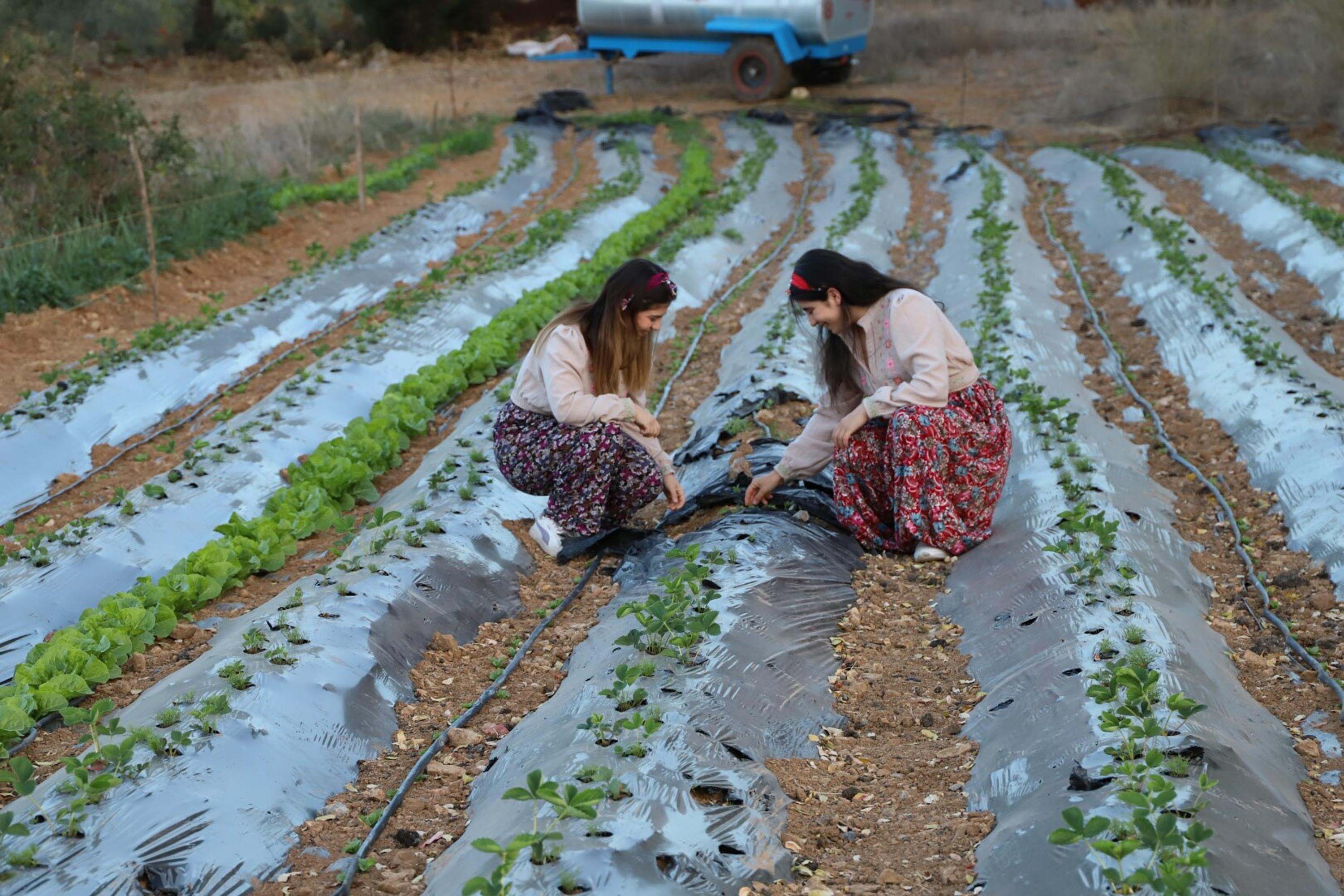 Çiftçi Ikiz Kız Kardeşler, Ata Topraklarına Sahip Çıkıyor (3)