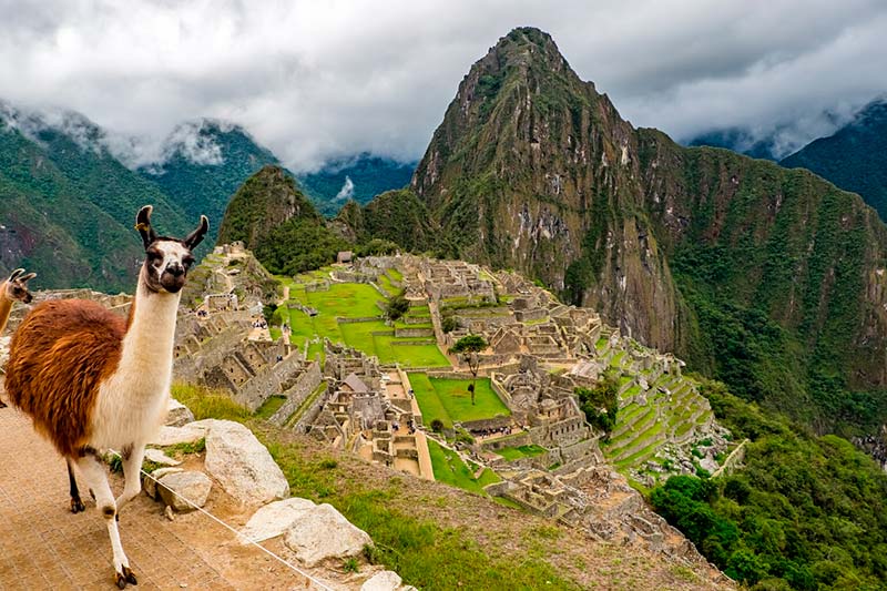 Machu Picchu-3