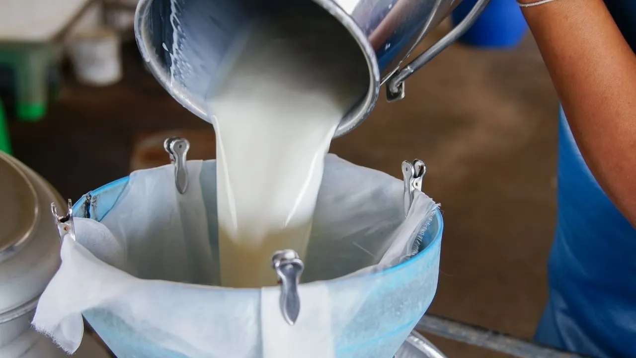 Cig Sutun Uretim Maliyeti Hesapladi Tusedad Tavsiye Fiyati Verdi Idm2 Cover.jpg