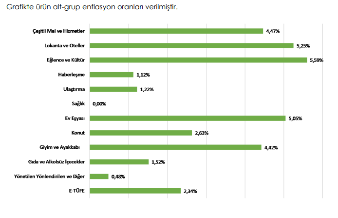 Enag Enflasyon Verisi