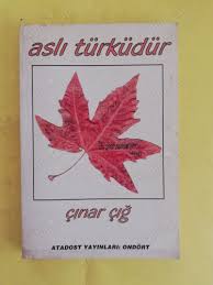 Aslı Türküdür