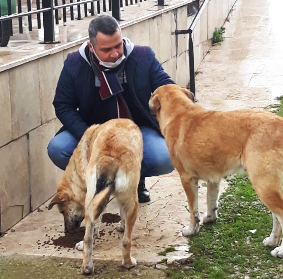 Karşıyaka Belediyesi Veteriner Müdürü Çağlayan İnanlı