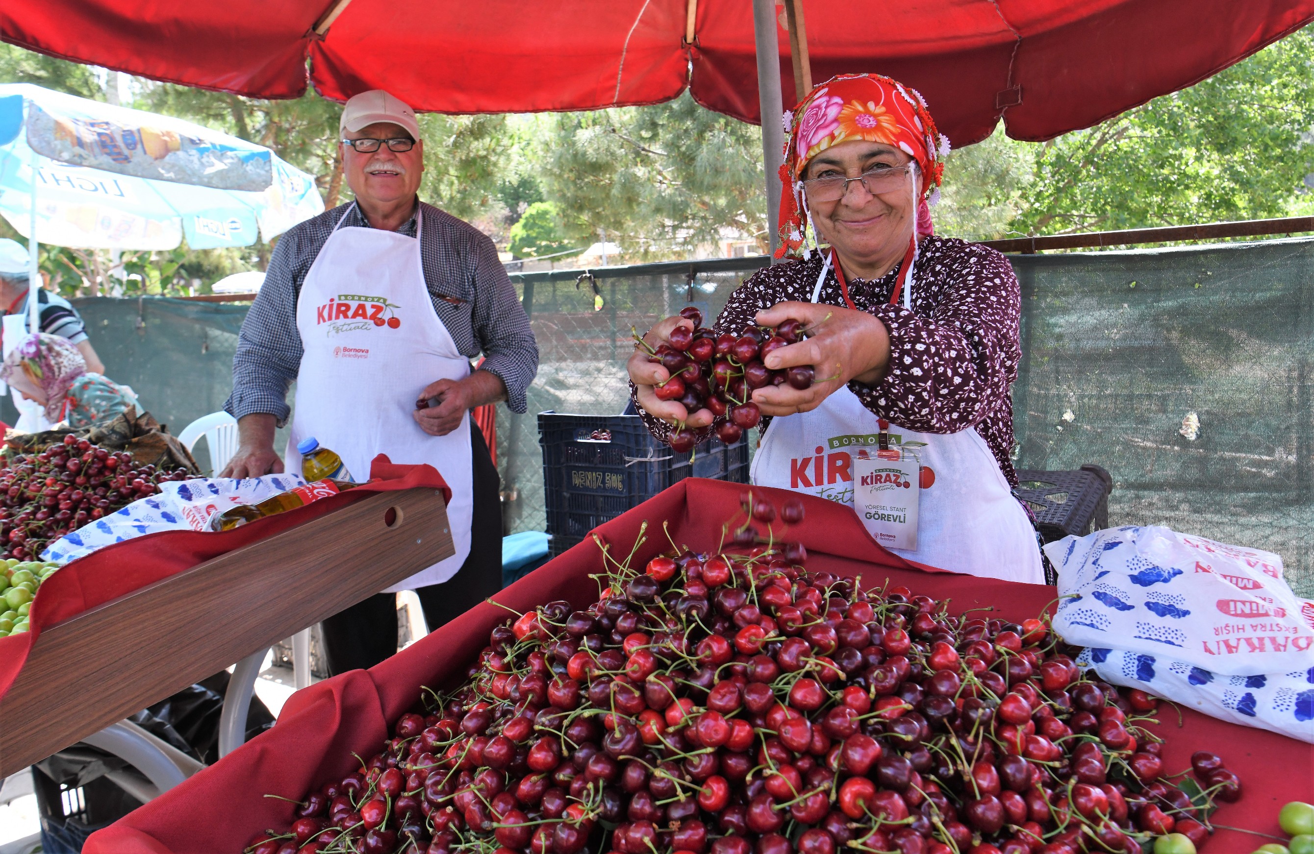 Kiraz Festivali (5)