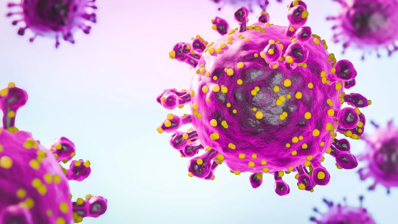 Yeni Olumcul Virus Yayiliyor Uzmanlar Alarma Gecti 17414215309855