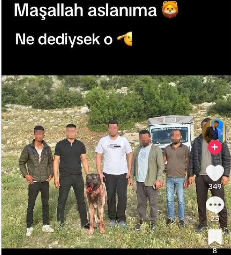Can Dostlar Anagorsel Internete2