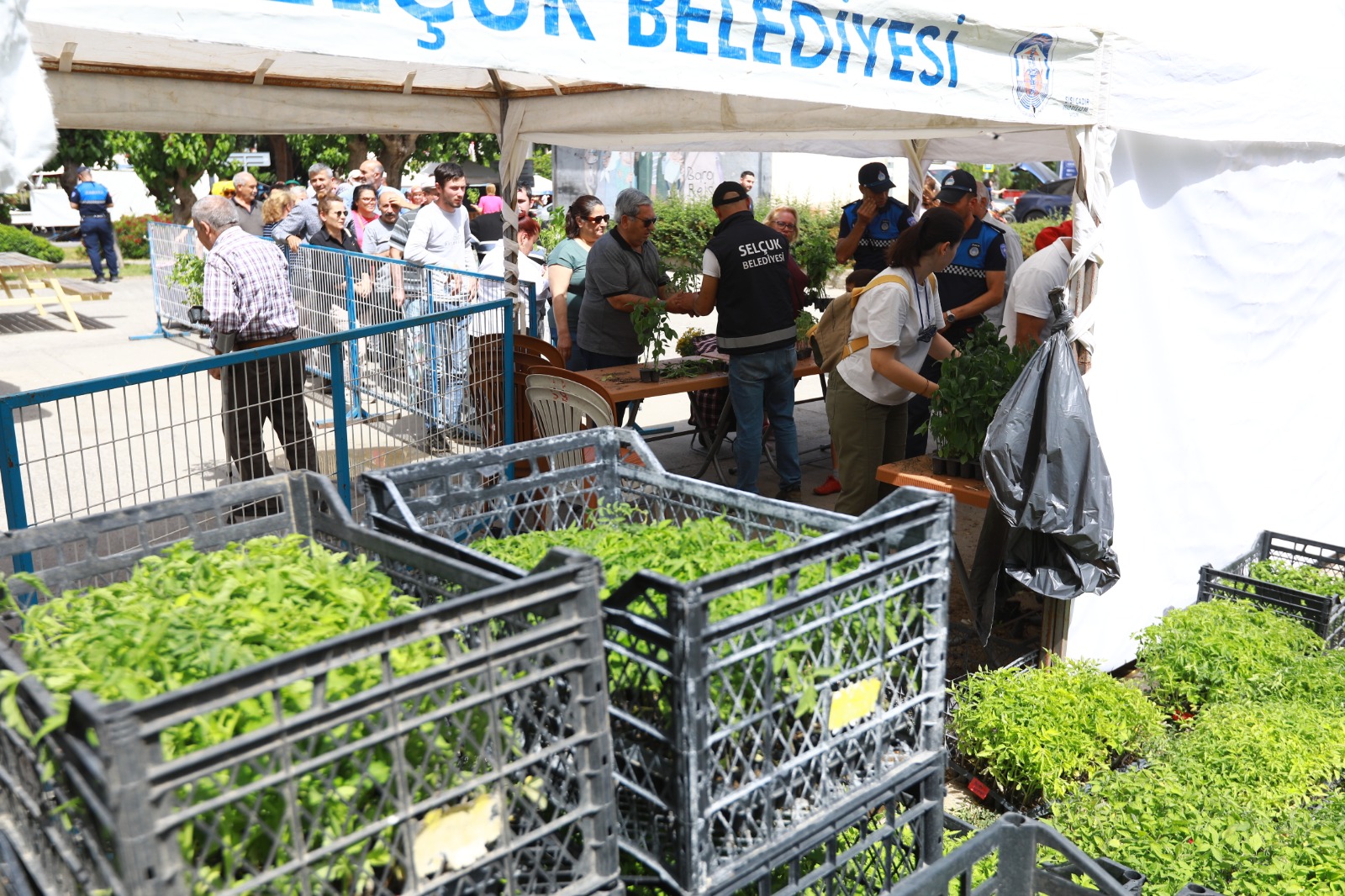 Fide Dağıtımı (3)