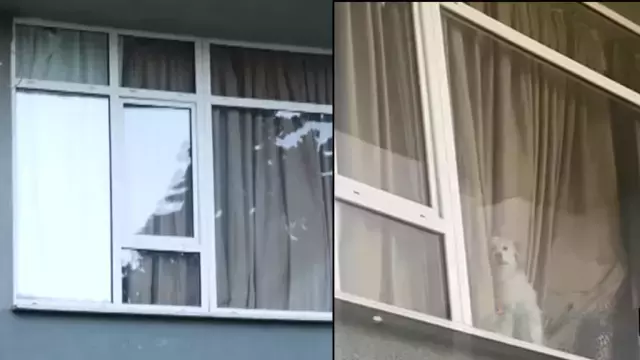 Harika Avci Hakkinda Sok Iddialar Ev Sahibi 18680561 8777 M