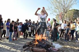 Images (17)-1