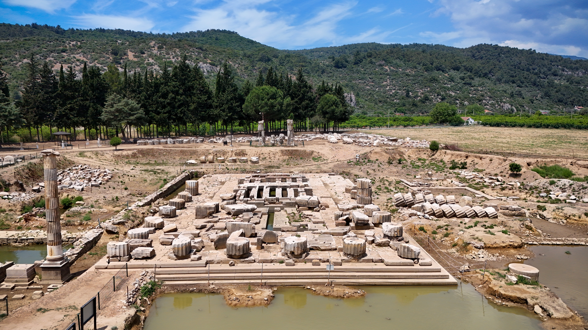 1750771595 Apollon Tapinagi