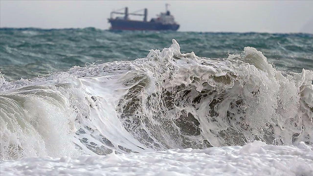 Dalga Tsunami 2003900