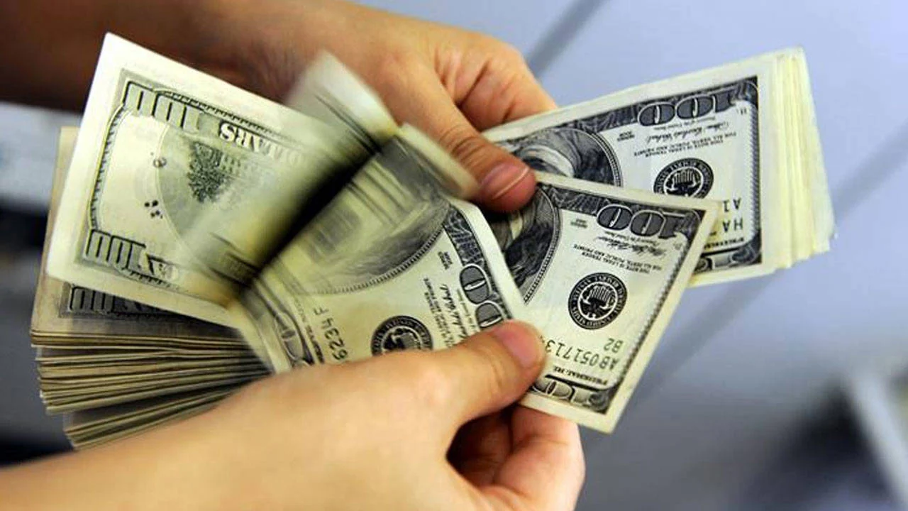 Dolar Tl Gune Nasil Basladi-11