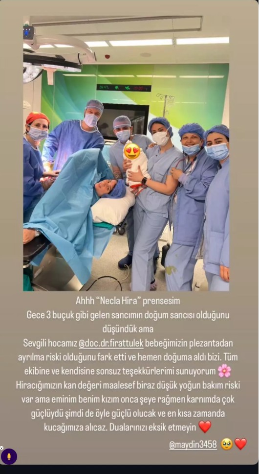 Ekran Görüntüsü 2025 06 03 182609