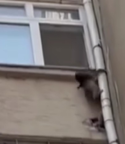 Ekran Görüntüsü 2025 06 23 184658