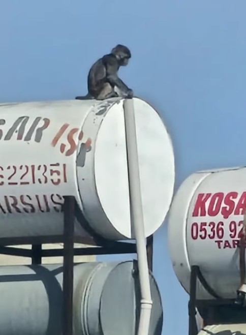 Ekran Görüntüsü 2025 06 23 184858