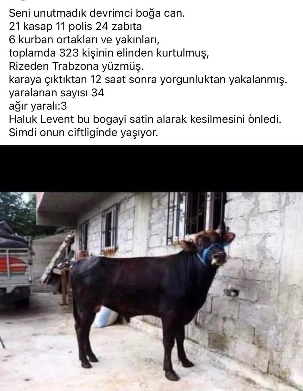 Whatsapp Image 2025 06 07 At 19.41.54
