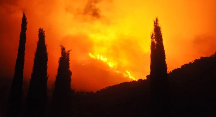 25 07 03 Izmir Odemis Orman Yangini Zaa