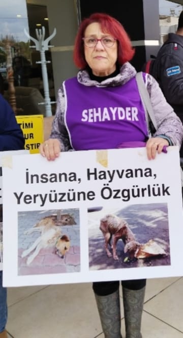 At : Sehayder Başkanı Fevziye Kanat Özkan